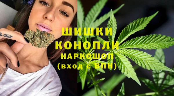 индика Гусь-Хрустальный