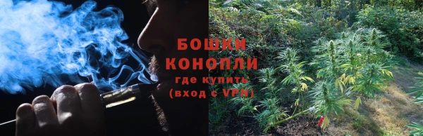 тгк Горно-Алтайск
