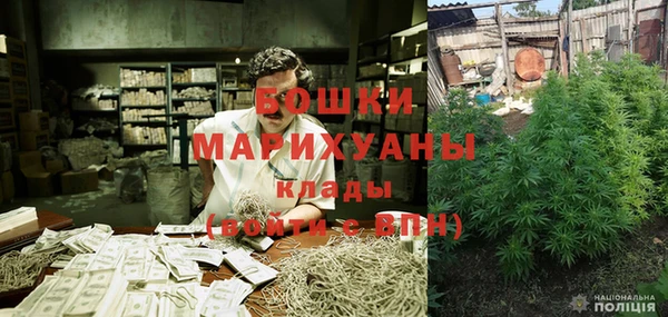 амф Горняк