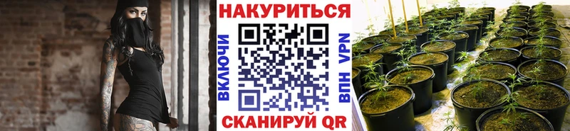 даркнет сайт  Горнозаводск  Бошки Шишки сатива 